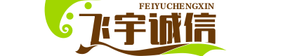 飞宇诚信手游网-最新手游发布与评测一站式平台