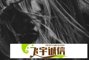 混乱小镇公交售票员招聘：本地人优先？详细条件解读