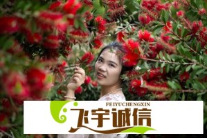 无名华表奖优秀电影摄影作品盘点：光影艺术的巅峰之作