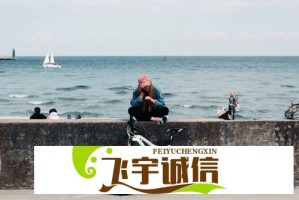 华为发布Pura系列手机