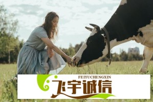 震惊！鸟鸟听说能骂志胜就来了，引发全网关注