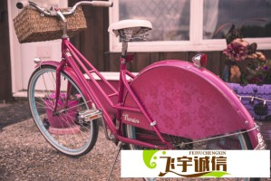 石凯为什么这么火？揭秘其背后的成功秘诀