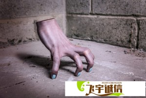 左手上篮首部体育国漫出海，体育动漫的新标杆