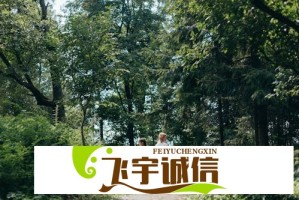 人民日报评论：李美越“翻车”，我们需要怎样的“文化使者”