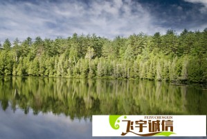 继续反攻！港股互联网ETF（）开盘飙涨，小米冲高近继续领涨