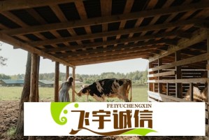 港股午后短线走低，恒指转跌，科指跌超