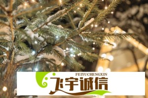 aespa台湾开麦舞台与内地场对比，哪一场更让你心动？