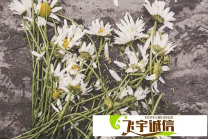陈德容越鼓励越支棱引热议：正向暗示真的能改变人生吗？