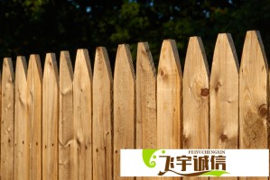 如何理解yytv夜月在现代文化中的独特地位与影响？