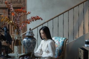 探索性别自由对凸轮管汇编技术的深远影响