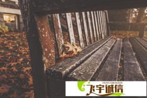 谢霆锋带儿子吃饭引围观，网友：这颜值绝了