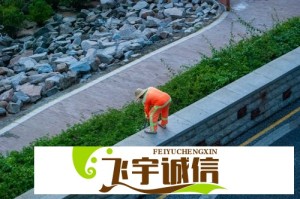 伊朗伊斯兰革命卫队总司令：已为任何战斗准备好升级版导弹