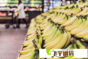 唐朝诡事录之下南洋：为什么说这是最惊悚的海外探案？