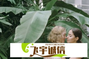 国家电投宣布加快推进并购重组