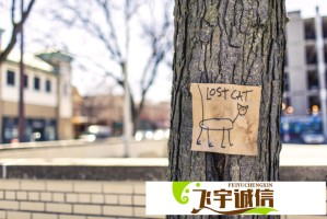 PCL全面解读：它将如何影响我们的生活？