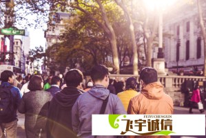成品网站源w的用户评价分析：稳定性强，性价比高，适合多种需求