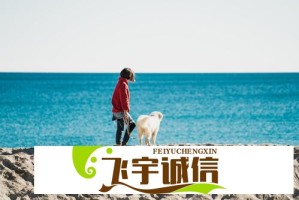 平稳落地，尚存惊喜：《命运游戏》无剧透体验报告它来了