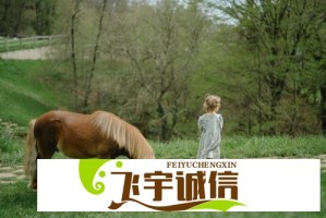 烽影燃梅香定档日期公布，主演阵容豪华引期待！