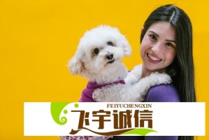 广厦男篮vs辽宁男篮：球迷热议，这场比赛看点十足
