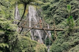 马斯克怒怼税改 特朗普放话威胁撤销政府补贴 并称“得看一下”是否驱逐