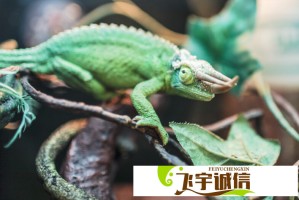 赢了妆也没输！教你如何根据脸型选择最适合的妆容