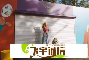 石凯恋爱保密协议：娱乐圈恋爱保密背后的真相