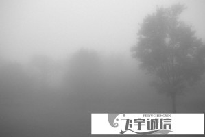 手机如何进入哔咔PICACG官网？iOS/安卓访问教程