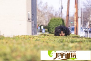 kaixinse价格大公开，性价比高不高一看便知