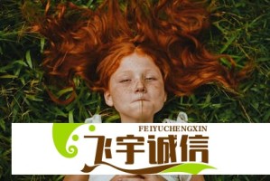 从失败到成功：你的每一步都不白走的真实案例分享
