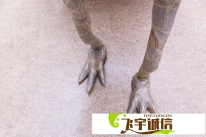 杜华晒与赵丽颖合照，这是要联手打造新品牌吗？