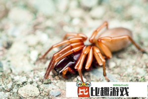 软件销售技巧解析：如何通过演示提升成交率？
