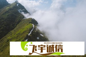 杨紫代言淮水竹亭，传统文化与现代明星的完美结合