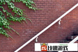 樊振东王曼昱盛李豪受表彰照片流出！领奖服设计暗藏玄机