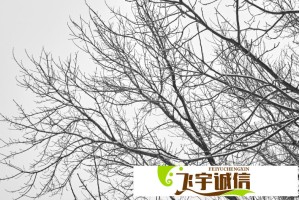欧洲尺码日本尺码专线韩国：海外购物尺码对照表