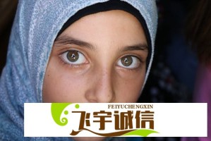 九幺黄c水蜜桃免费网页版资源被屏蔽？试试这几种方法