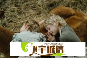 如何在金银花产业中通过合作与竞争取得成功？