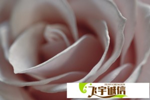 秒内未接节假日值班电话被通报 涉事人员将面临什么处分？
