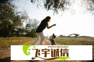 海南舰自动升降栏杆曝光！中国海军技术再突破