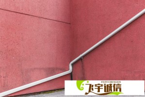 当娜拉荣归故里引发热议：她将如何改变家乡？