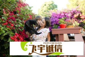李一桐淮水竹亭宣传效果如何？数据告诉你答案