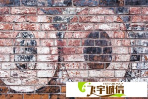 歌手TANK心肝移植手术成功，专家解读手术风险与恢复