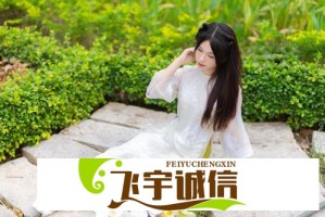 丁禹兮陪看淮水竹亭：浪漫同游引发粉丝热议