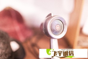 现实版忠犬八公！狗狗被忘服务区，冒死追车数公里