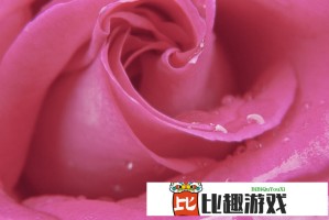草鱼C网站永久地址更新？官方最新声明与用户须知