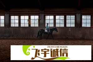 琪琪电影网官网入口-琪琪电影网免费观看