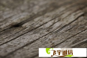 被泉州簪花美一大跳？探秘这座城市的绝美花事