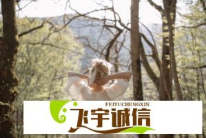 数学常见公式速查手册：高效学习与复习必备