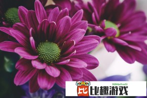 如何找到适合少女的韩国电视剧免费观看渠道？：分享热门剧集与观看小技巧