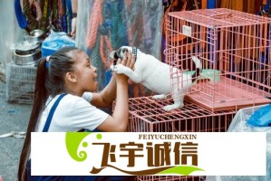 免费高清在线观看人数在哪动漫？热门番剧实时更新