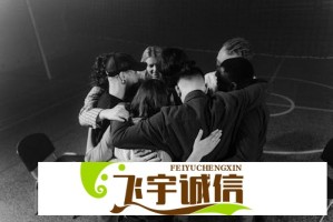 c一起起草官网，提供全方位网站建设与优化服务，帮助品牌提升线上影响力